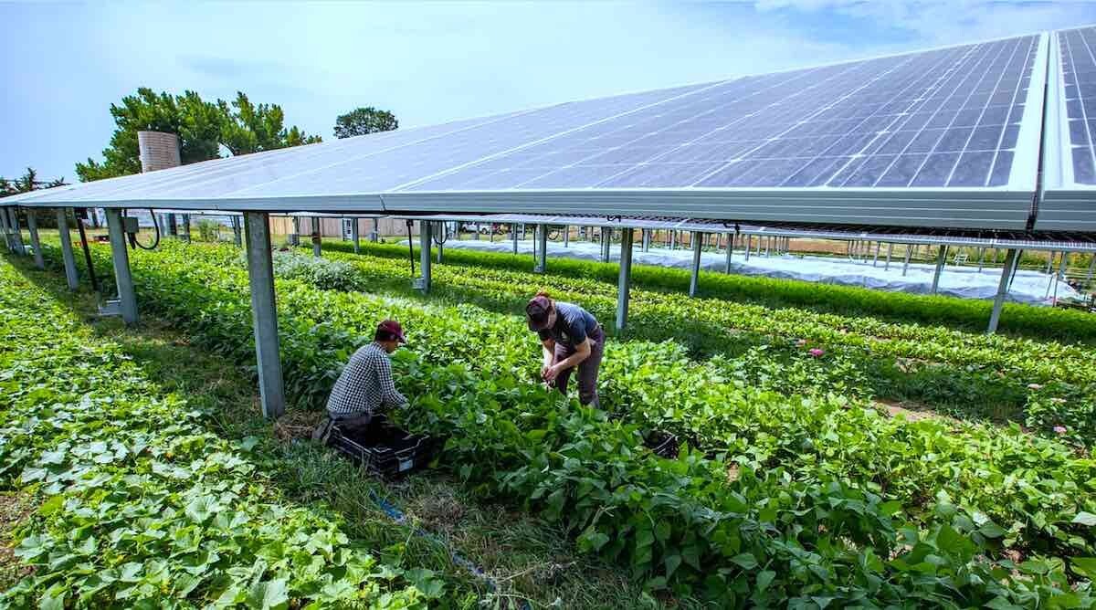 Baliraja Solar Project Installation 3 - Agricultural